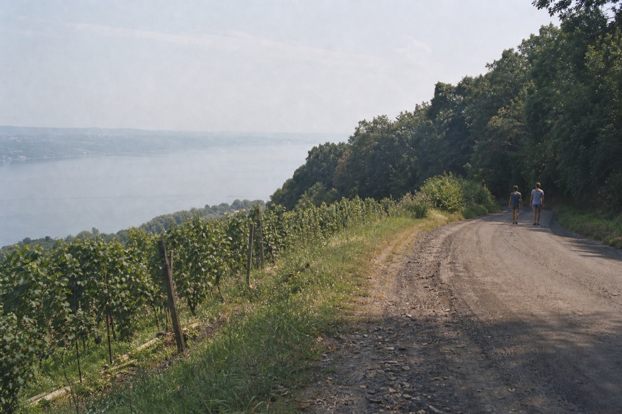 A country road curving past vineyards above Seneca Lake, no text, no logos, no people.