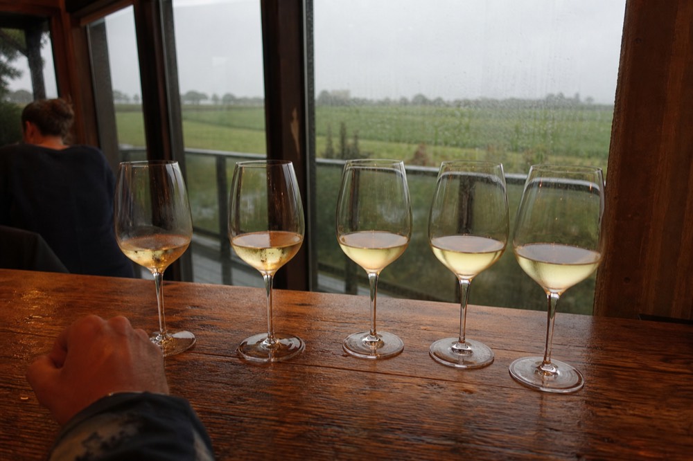 A tasting flight of white wines on a wooden tasting room counter, no text, no logos, no people