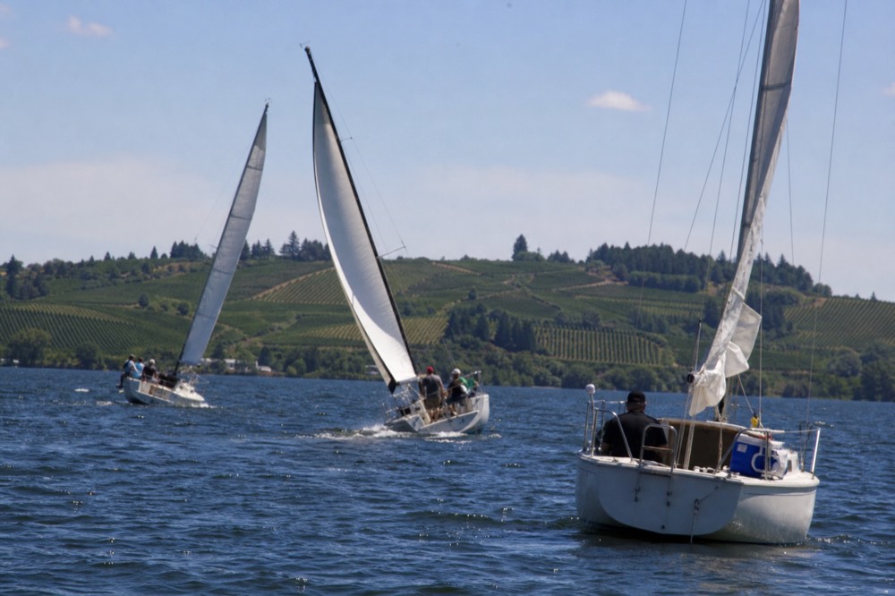 Sailboats on Canandaigua Lake with rolling vineyard slopes in the distance, no text, no logos, no people