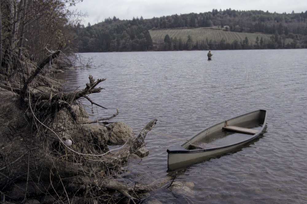 A quiet lake shoreline with forested hills and a distant vineyard, no text, no logos, no people