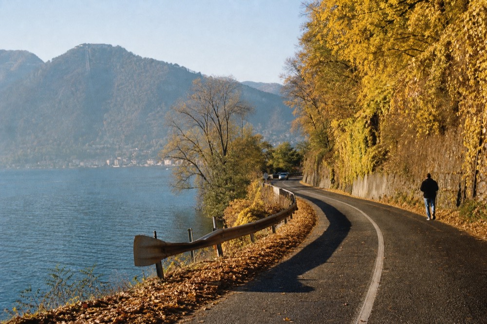 A quiet lakeside road with vineyards on the hillside above Seneca Lake, no text, no logos, no people