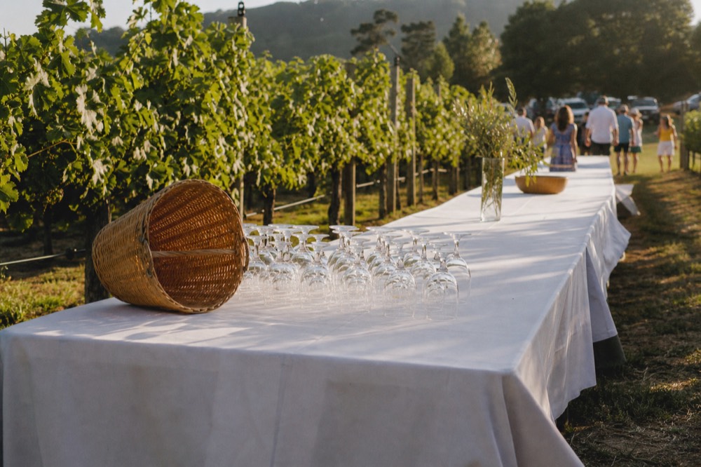 Outdoor tasting tables set among vineyard rows at a Finger Lakes winery, no text, no logos, no people