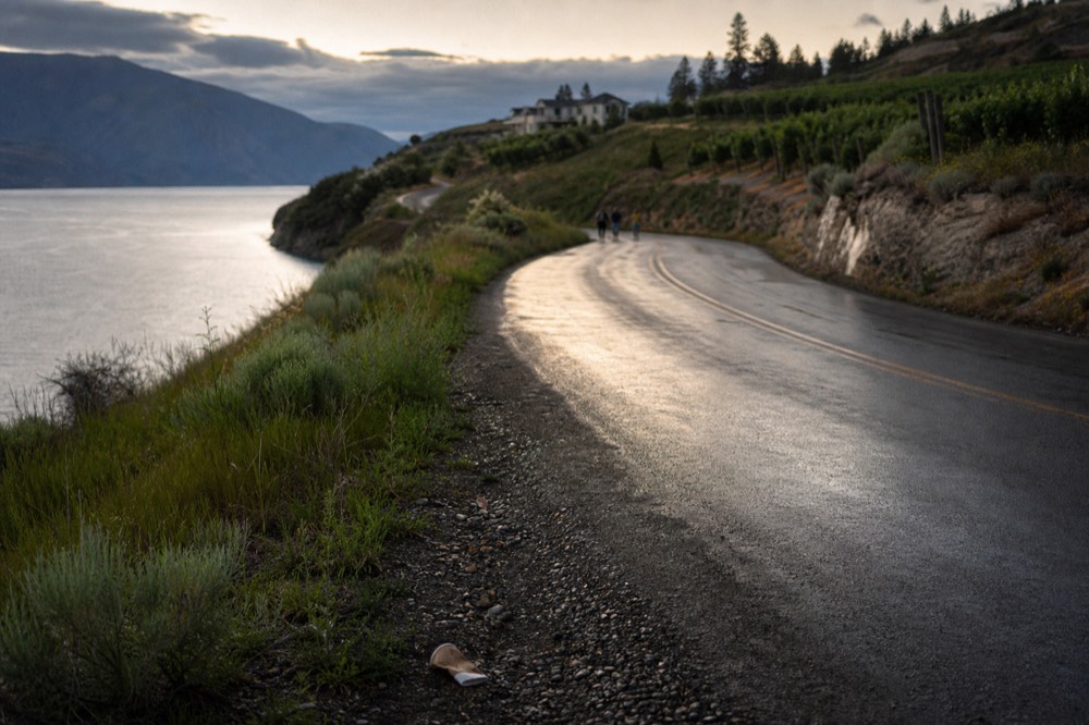 A quiet lakeside road winding past vineyards toward a winery, no text, no logos, no people